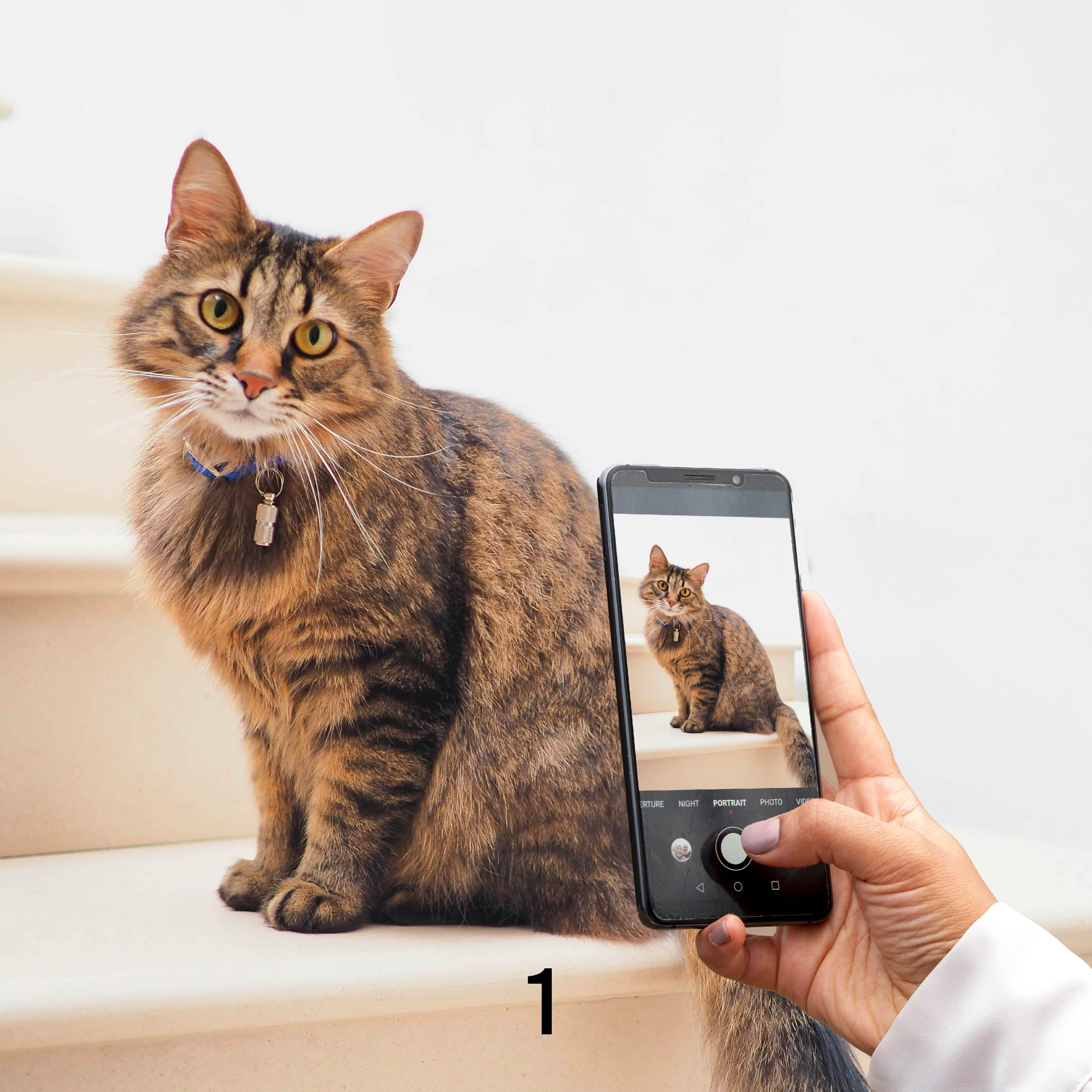 Sachet de graines personnalisé avec votre photo 📸 | Le Beau Thé