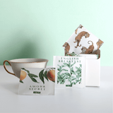 Coffret de dégustation : les 16 meilleurs thés et infusions du monde  | Le Beau Thé