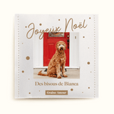 Sachet de graines à semer - Noël étincelant | Le Beau Thé