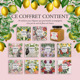 Le coffret Thé et miel -  Le Beau Thé x Hédène