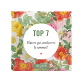 Quelles sont les meilleures plantes pour dormir ? TOP 7