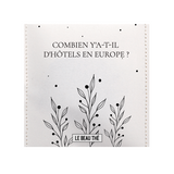 Combien y'a-t-il d'hôtel en Europe en 2024 ?