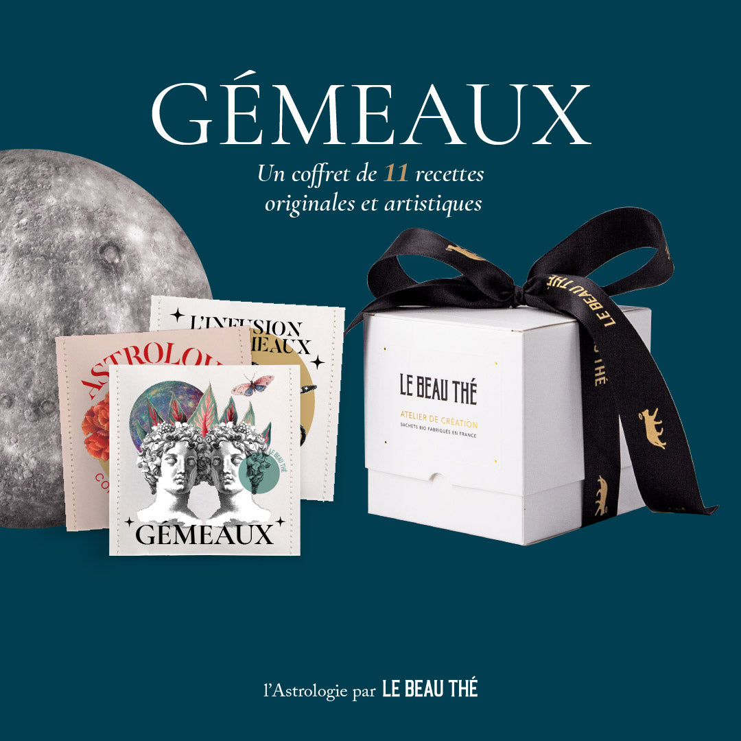 Le coffret Astro - Gémeaux 🔮
