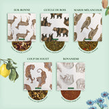 Coffret de dégustation : les 15 meilleurs thés et infusions du monde  | Le Beau Thé