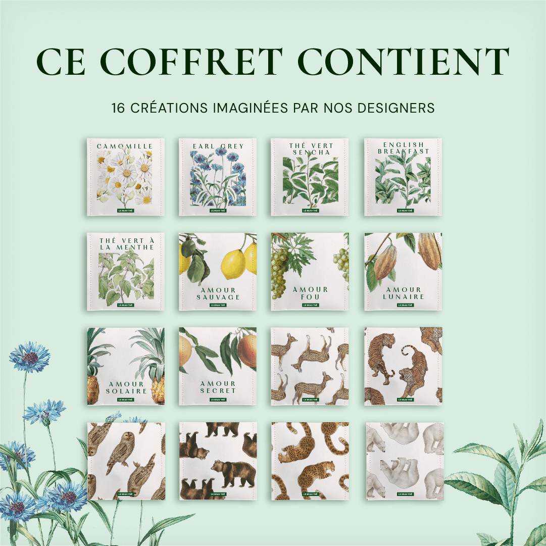 Coffret de dégustation : les 16 meilleurs thés et infusions du monde  | Le Beau Thé