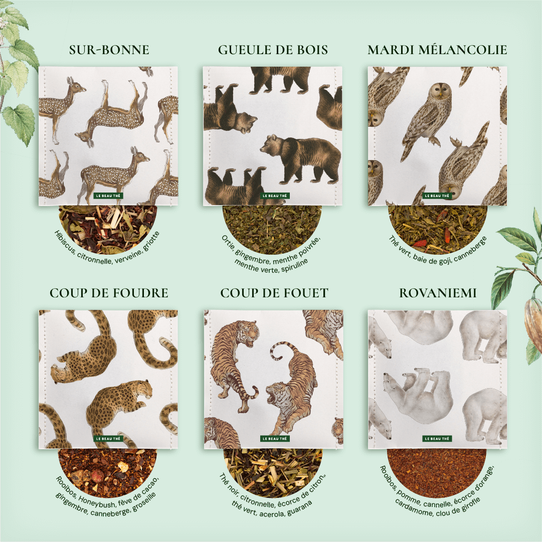 Coffret de dégustation : les 16 meilleurs thés et infusions du monde  | Le Beau Thé