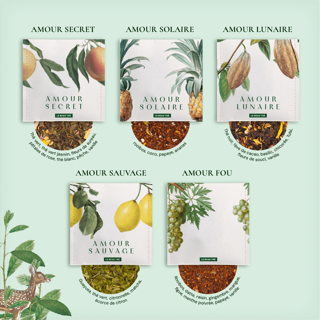 Coffret de dégustation : les 16 meilleurs thés et infusions du monde  | Le Beau Thé