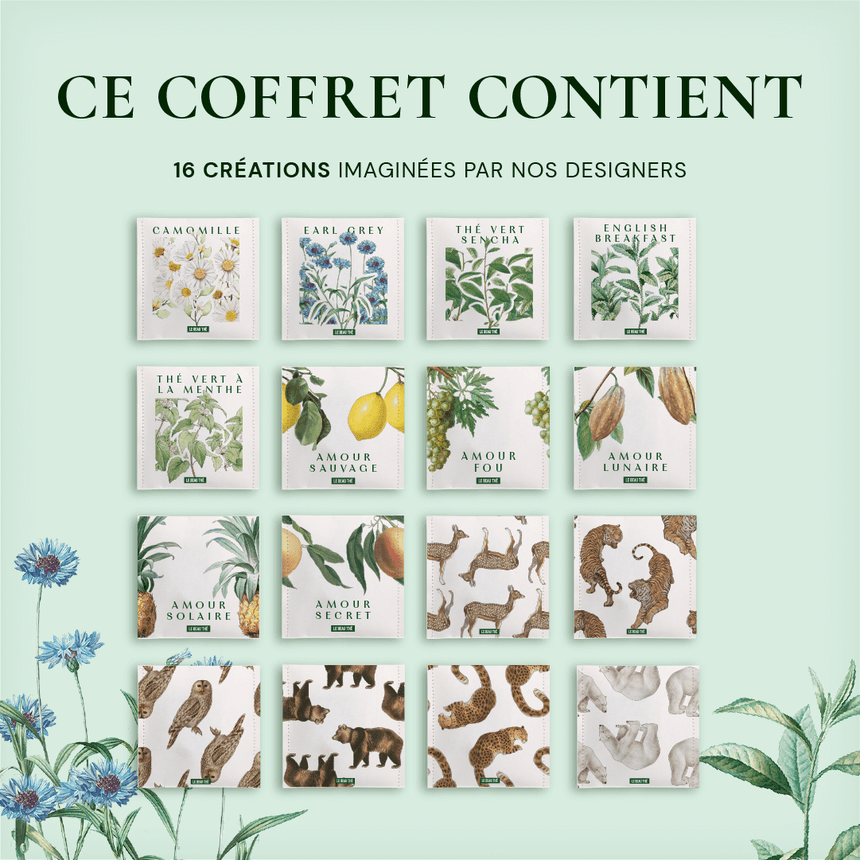 Coffret de dégustation : les 16 meilleurs thés et infusions du monde