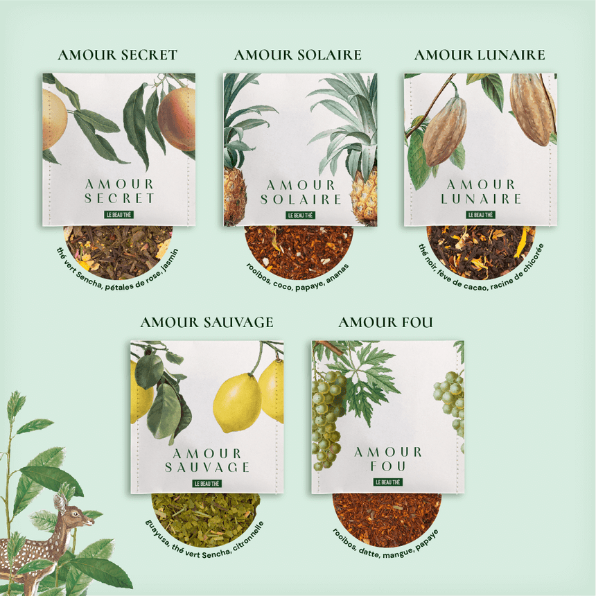 Coffret de dégustation : les 16 meilleurs thés et infusions du monde