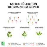 La boîte BAL de 3 sachets de graines à semer personnalisés (Pro)