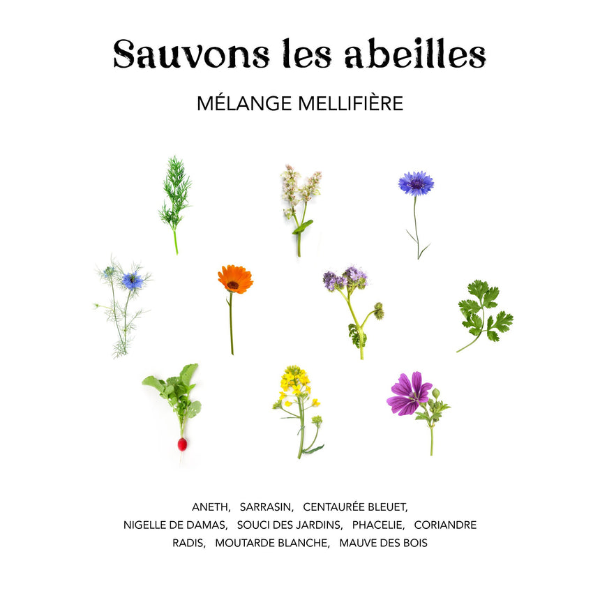 Sachet de graines personnalisé | Sauvons les abeilles