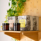 Super kit d’implantation boîte collection - Vices