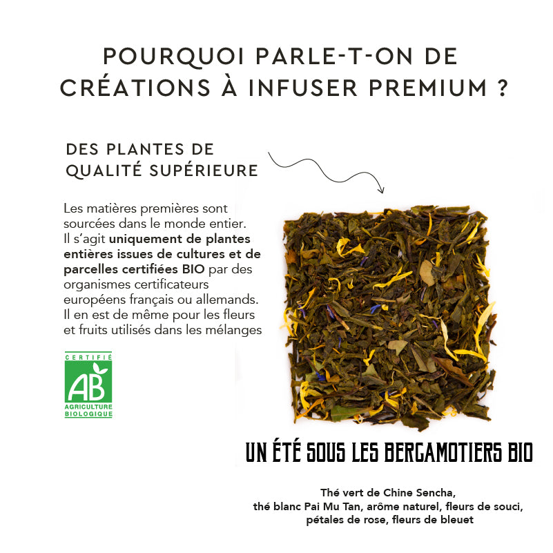 Un été sous les bergamotiers bio 🌞